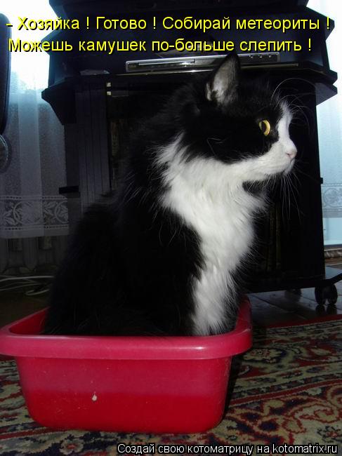 Котоматрица: - Хозяйка ! Готово ! Собирай метеориты ! Можешь камушек по-больше слепить !