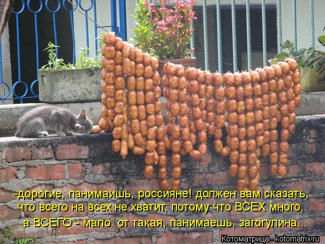 -дорогие, панимаишь, россияне! должен вам сказать, что всего на всех не хватит, потому что ВСЕХ мног... Котоматрица: -дорогие, панимаишь, россияне! должен вам сказать, что всего на всех не хватит, потому что ВСЕХ много, а ВСЕГО - мало. от такая, панимаешь, заг