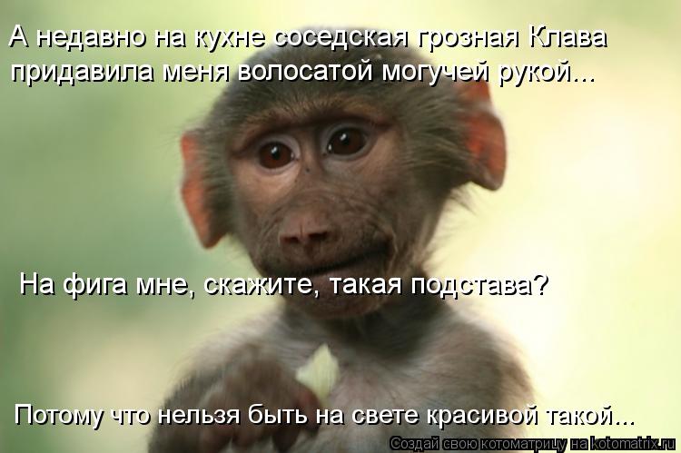 А недавно на кухне соседская грозная Клава придавила меня волосатой могучей рукой... На фига мне, ска... Котоматрица: А недавно на кухне соседская грозная Клава придавила меня волосатой могучей рукой... На фига мне, скажите, такая подстава? Потому что нельзя