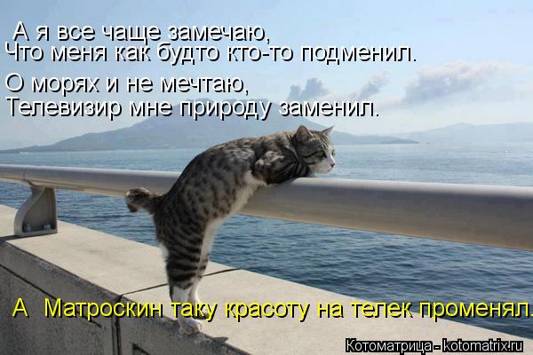А я все чаще замечаю, Что меня как будто кто-то подменил. О морях и не мечтаю, Телевизир мне природу ... Котоматрица: А я все чаще замечаю, Что меня как будто кто-то подменил. О морях и не мечтаю, Телевизир мне природу заменил. А Матроскин таку красоту на теле