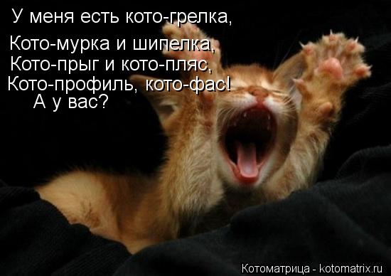 Котоматрица: У меня есть кото-грелка,  Кото-мурка и шипелка, Кото-прыг и кото-пляс, Кото-профиль, кото-фас!  А у вас?