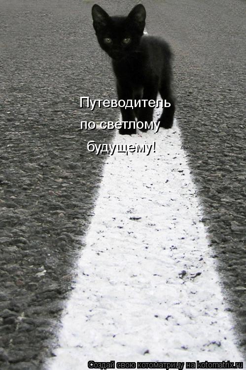 Котоматрица: Путеводитель по светлому будущему!