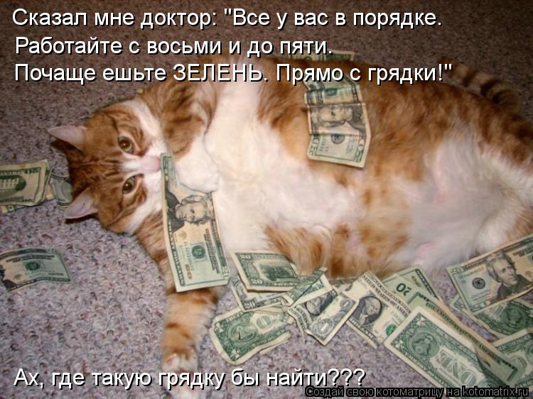 Котоматрица: Сказал мне доктор: "Все у вас в порядке. Работайте с восьми и до пяти. Почаще ешьте ЗЕЛЕНЬ. Прямо с грядки!" Ах, где такую грядку бы найти???