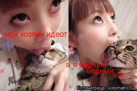 Котоматрица: мой хозяин идеот  а я бедный бедный кот