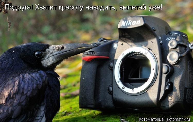 Котоматрица: Подруга! Хватит красоту наводить, вылетай уже!