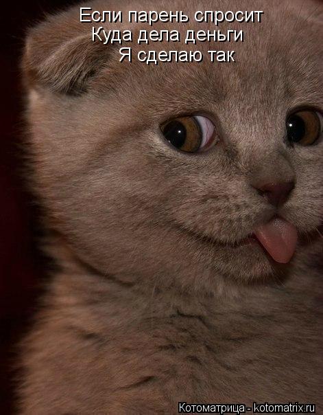 Если девушка спросит Если парень спросит Куда дела деньги Я сделаю так... Котоматрица: Если девушка спросит Если парень спросит Куда дела деньги Я сделаю так