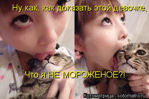 Ну как, как доказать этой девочке, Что я НЕ МОРОЖЕНОЕ?!... Котоматрица: Ну как, как доказать этой девочке, Что я НЕ МОРОЖЕНОЕ?!