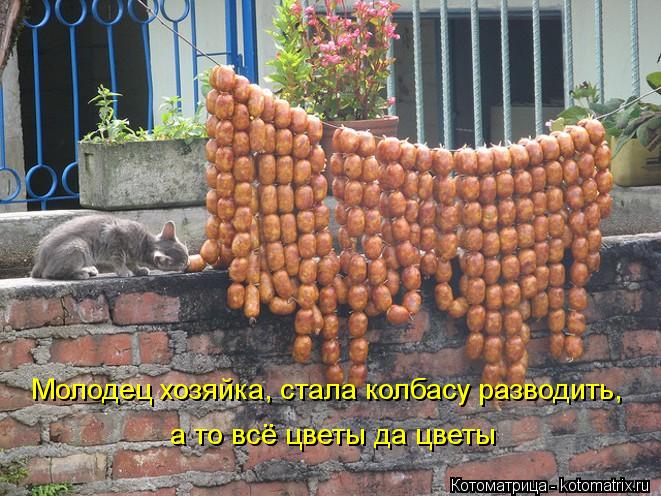 Молодец хозяйка, стала колбасу разводить, а то всё цветы да цветы... Котоматрица: Молодец хозяйка, стала колбасу разводить, а то всё цветы да цветы