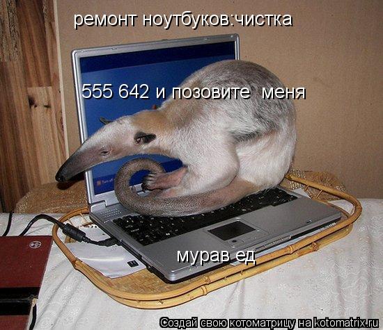 ремонт ноутбуков:чистка 555 642 и позовите меня мурав ед... Котоматрица: ремонт ноутбуков:чистка 555 642 и позовите меня мурав ед