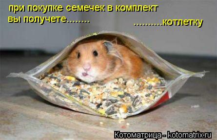 Котоматрица: при покупке семечек в комплект вы получете........ ..........котлетку