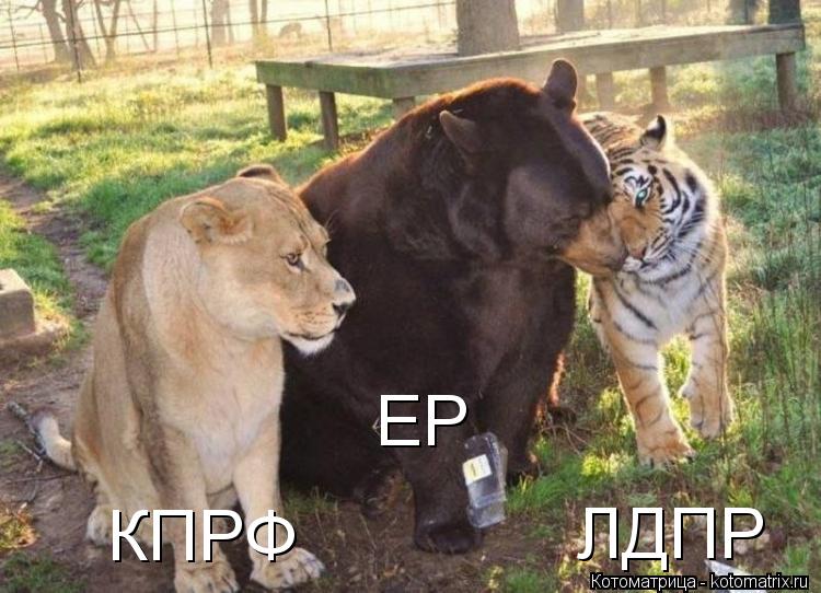 Котоматрица: ЕР КПРФ ЛДПР