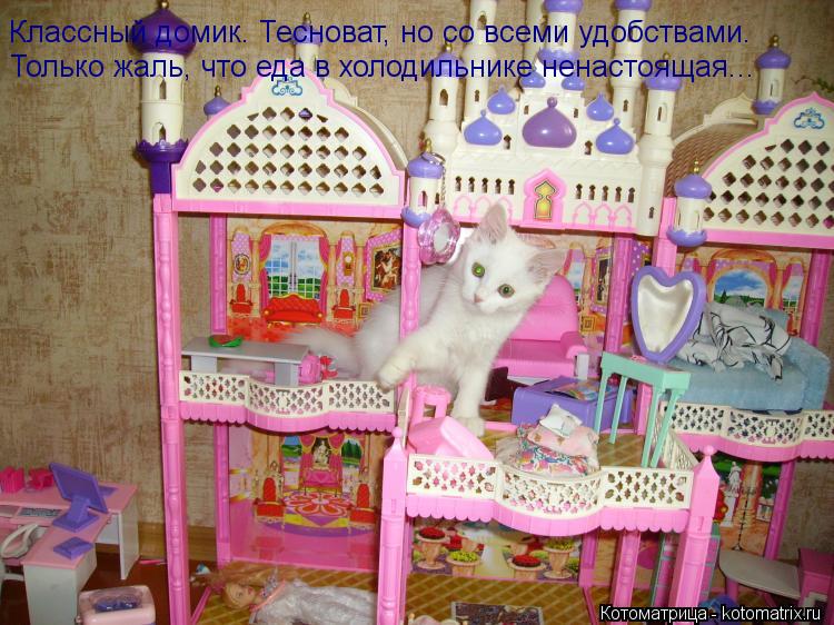 Классный домик. Тесноват, но со всеми удобствами. Только жаль, что еда в холодильнике ненастоящая...... Котоматрица: Классный домик. Тесноват, но со всеми удобствами. Только жаль, что еда в холодильнике ненастоящая...