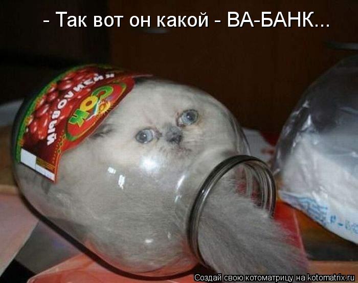 Котоматрица: - Так вот он какой - ВА-БАНК...