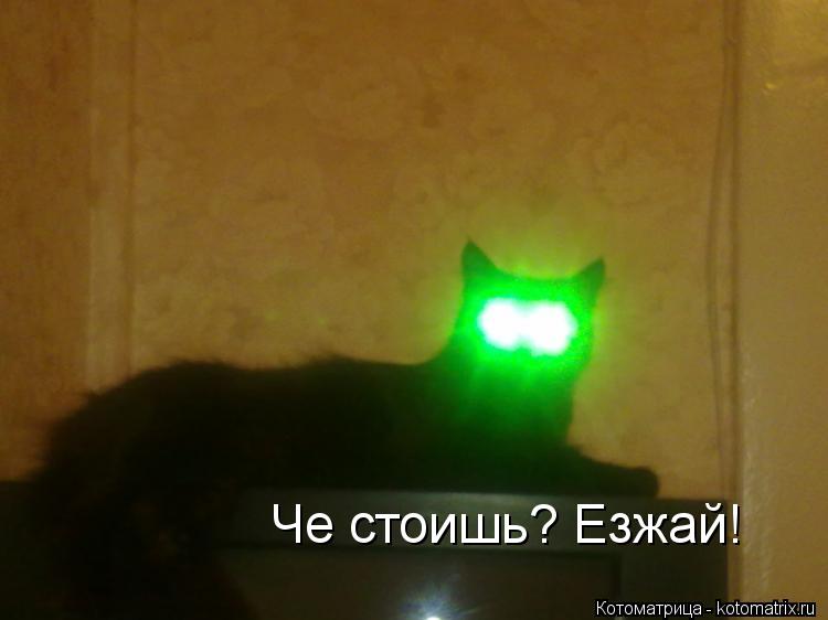 Че стоишь? Езжай!... Котоматрица: Че стоишь? Езжай!