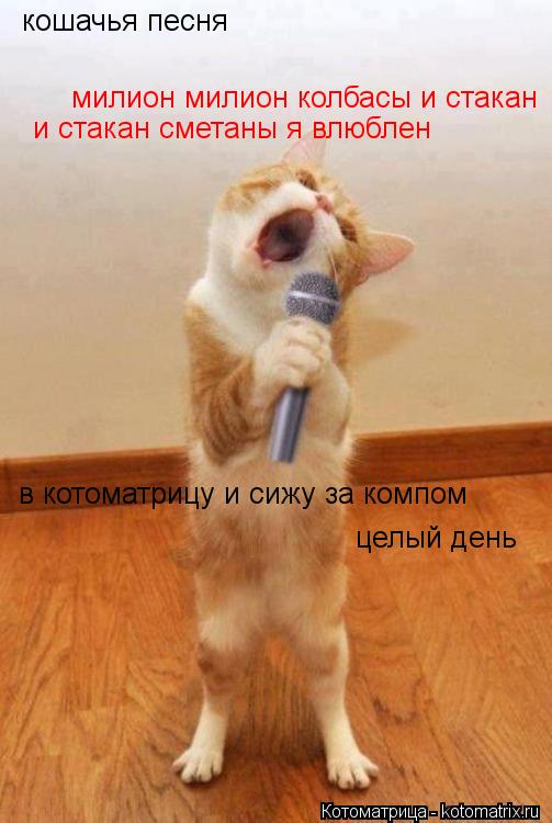 Котоматрица: кошачья песня милион милион колбасы и стакан и стакан сметаны я влюблен  в котоматрицу и сижу за компом целый день