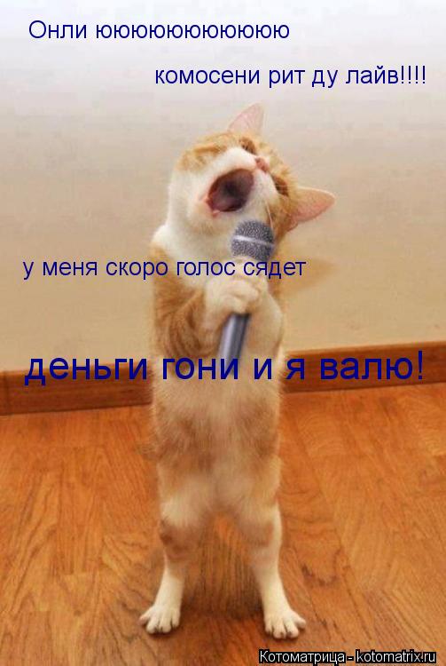 Котоматрица: Онли ююююююююююю Онли ююююююююююю комосени рит ду лайв!!!! у меня скоро голос сядет  деньги гони и я валю!