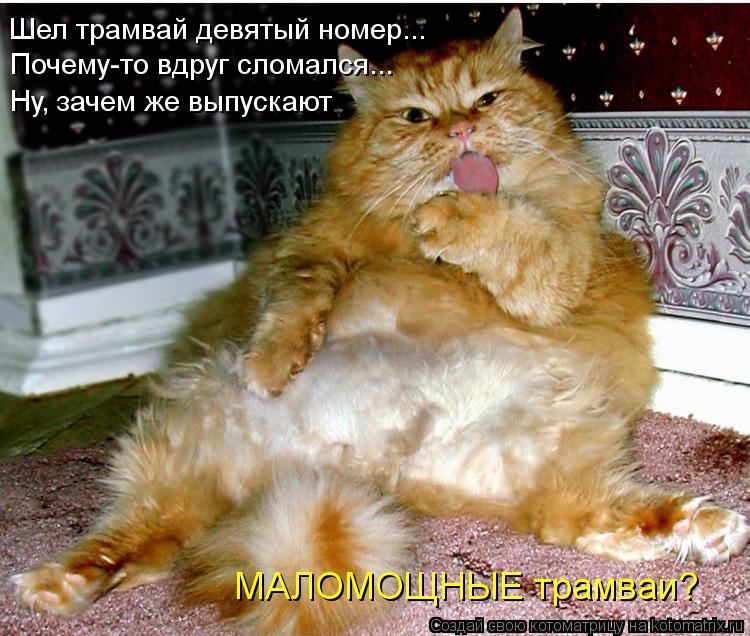 Шел трамвай девятый номер... Почему-то вдруг сломался... Ну, зачем же выпускают МАЛОМОЩНЫЕ трамваи?... Котоматрица: Шел трамвай девятый номер... Почему-то вдруг сломался... Ну, зачем же выпускают МАЛОМОЩНЫЕ трамваи?