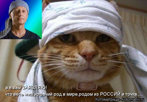 Котоматрица: что весь наш кошачий род в мире,родом из РОССИЙ и точка..... а я вам ЗАЯВЛЯЮ!