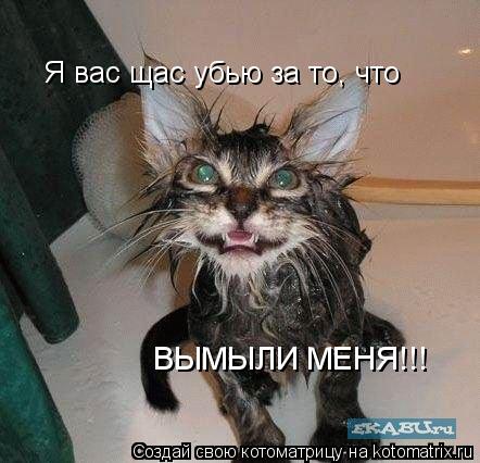 Я вас щас убью за то, что ВЫМЫЛИ МЕНЯ!!!... Котоматрица: Я вас щас убью за то, что ВЫМЫЛИ МЕНЯ!!!