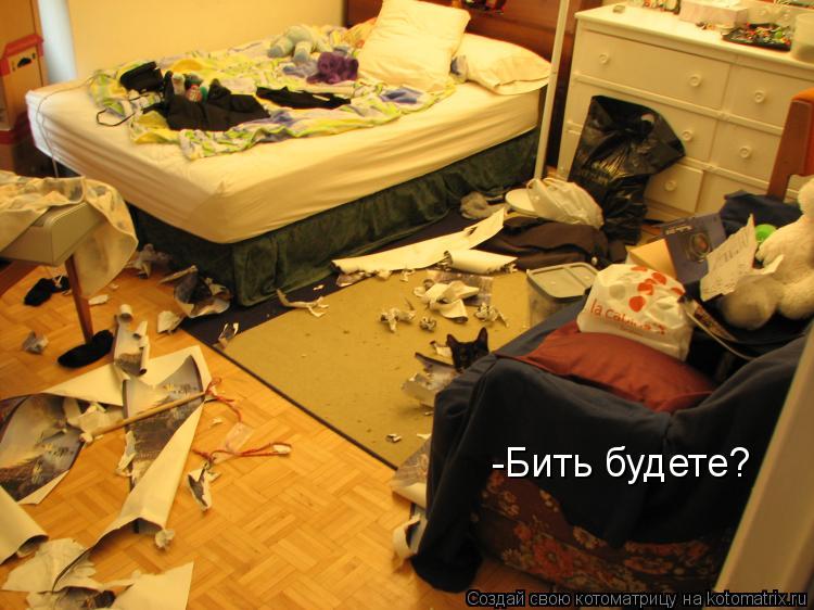 -Бить будете?... Котоматрица: -Бить будете?