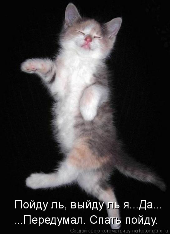 Котоматрица: Пойду ль, выйду ль я...Да... ...Передумал. Спать пойду.