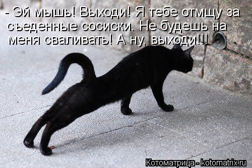 - Эй мышь! Выходи! Я тебе отмщу за съеденные сосиски. Не будешь на меня сваливать! А ну, выходи!!!... Котоматрица: - Эй мышь! Выходи! Я тебе отмщу за съеденные сосиски. Не будешь на меня сваливать! А ну, выходи!!!