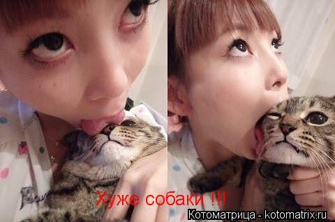 Хуже собаки !!!... Котоматрица: Хуже собаки !!!
