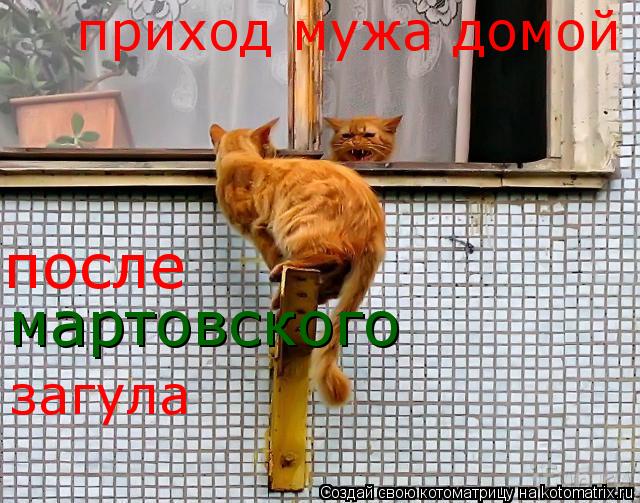Котоматрица: приход мужа домой с опзданием неделя после  мартовского загула