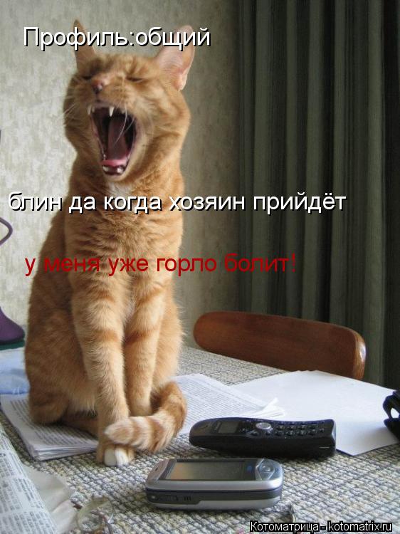 Котоматрица: Профиль:общий  блин да когда хозяин прийдёт  у меня уже горло болит!