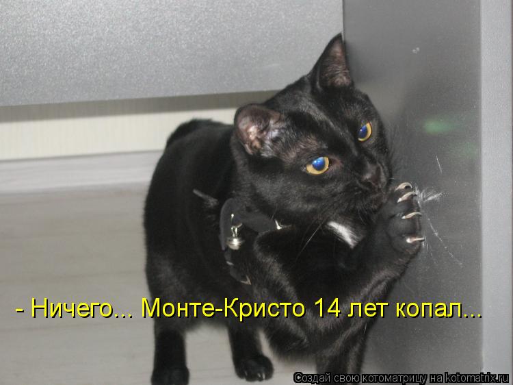 Котоматрица: - Ничего... Монте-Кристо 14 лет копал...