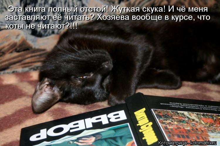 Котоматрица: Эта книга полный отстой! Жуткая скука! И чё меня  заставляют её читать? Хозяева вообще в курсе, что коты не читают?!!!