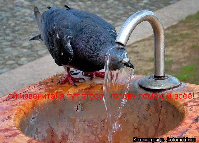 к4пак6пкуапмвкпукпвпепа ой извените! я тут этооо голову помою и всёё!... Котоматрица: к4пак6пкуапмвкпукпвпепа ой извените! я тут этооо голову помою и всёё!