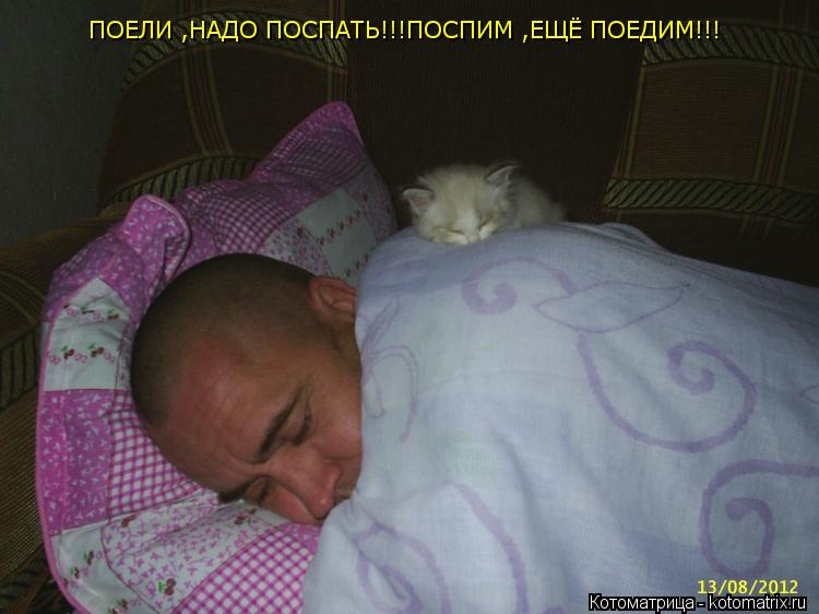 Котоматрица: ПОЕЛИ ,НАДО ПОСПАТЬ!!!ПОСПИМ ,ЕЩЁ ПОЕДИМ!!!