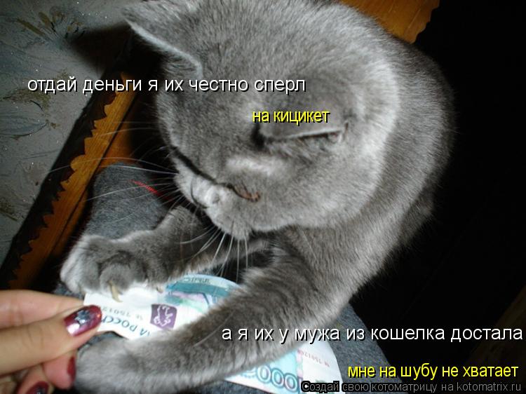 отдай деньги я их честно сперл а я их у мужа из кошелка достала мне на шубу не хватает на кицикет... Котоматрица: отдай деньги я их честно сперл а я их у мужа из кошелка достала мне на шубу не хватает на кицикет