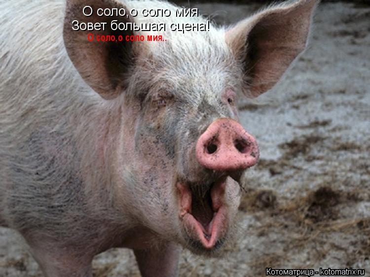 О соло,о соло мия Зовет большая сцена! О соло,о соло мия..... Котоматрица: О соло,о соло мия Зовет большая сцена! О соло,о соло мия..