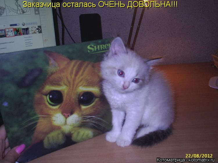 Заказчица осталась ОЧЕНЬ ДОВОЛЬНА!!!... Котоматрица: Заказчица осталась ОЧЕНЬ ДОВОЛЬНА!!!