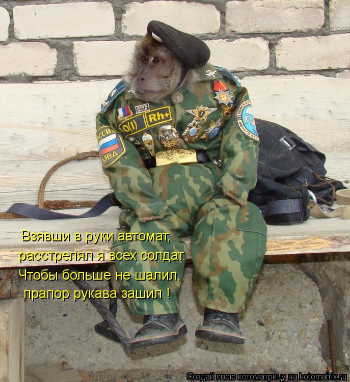 Котоматрица: Взявши в руки автомат, расстрелял я всех солдат. Чтобы больше не шалил, прапор рукава зашил !