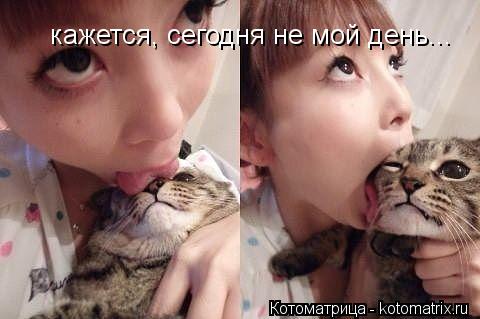 Котоматрица: кажется, сегодня не мой день...