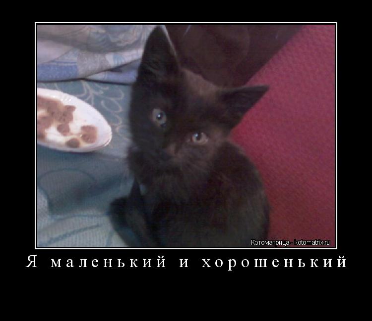Котоматрица: Я маленький и хорошенький 