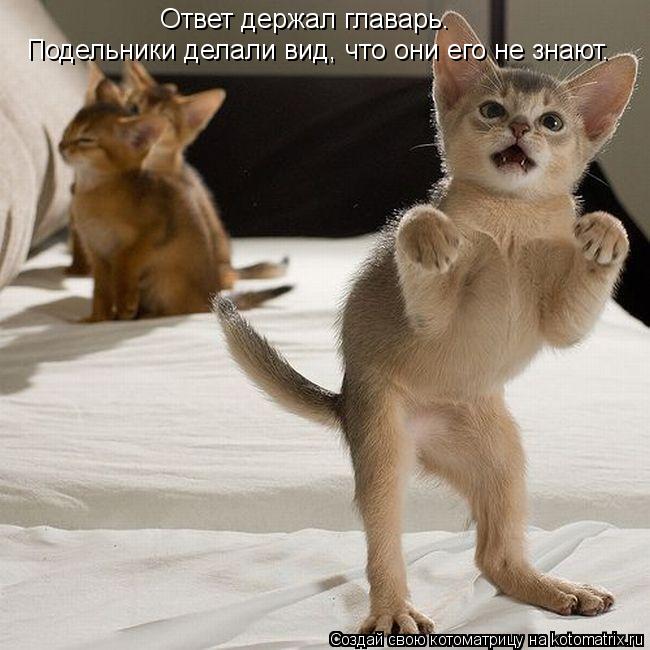 Ответ держал главарь. Подельники делали вид, что они его не знают.... Котоматрица: Ответ держал главарь. Подельники делали вид, что они его не знают.