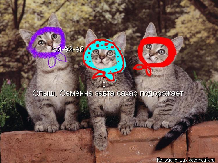 Слыш, Семённа завта сахар подорожает - - - ой-ёй-ёй... Котоматрица: Слыш, Семённа завта сахар подорожает - - - ой-ёй-ёй