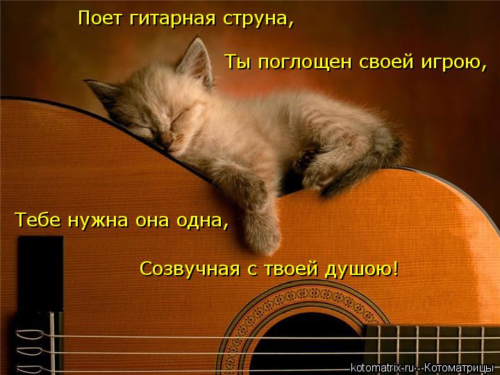 Котоматрица: Поет гитарная струна, Созвучная с твоей душою!  Ты поглощен своей игрою,  Тебе нужна она одна,