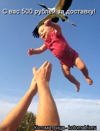 Котоматрица: С вас 500 рублей за доставку!