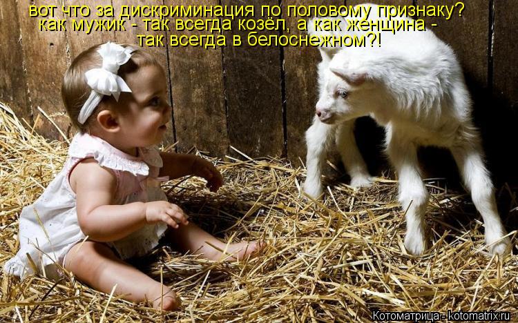 вот что за дискриминация по половому признаку? как мужик - так всегда козёл, а как женщина - так все... Котоматрица: вот что за дискриминация по половому признаку? как мужик - так всегда козёл, а как женщина - так всегда в белоснежном?!