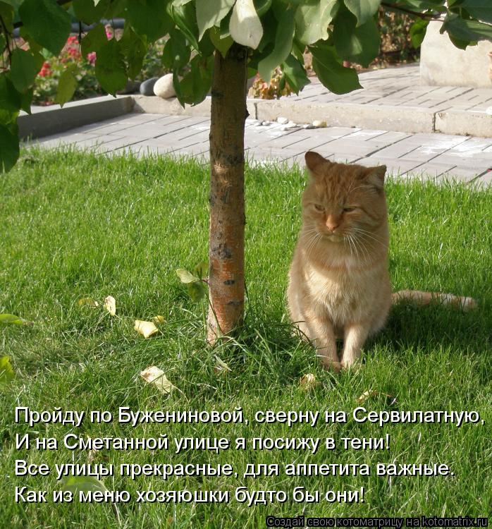 Котоматрица: Пройду по Бужениновой, сверну на Сервилатную, И на Сметанной улице я посижу в тени! Все улицы прекрасные, для аппетита важные. Как из меню хо