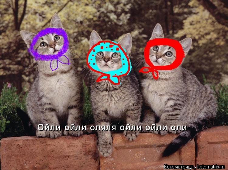 Ойли ойли оляля ойли ойли оли... Котоматрица: Ойли ойли оляля ойли ойли оли