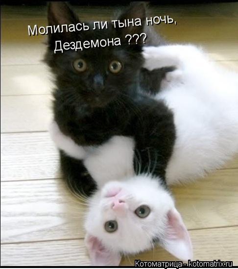 Котоматрица: Молилась ли тына ночь, Дездемона ???