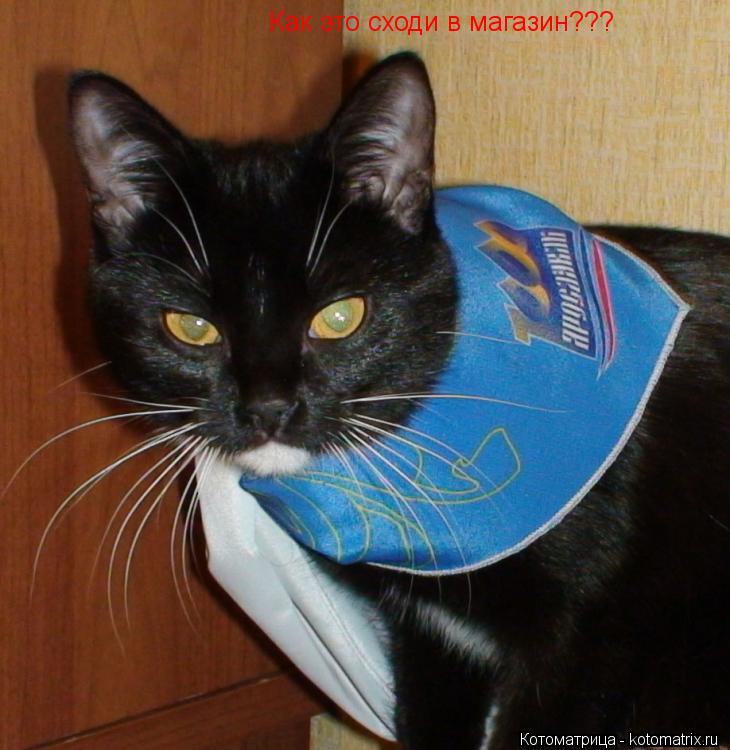Котоматрица: Как это сходи в магазин???