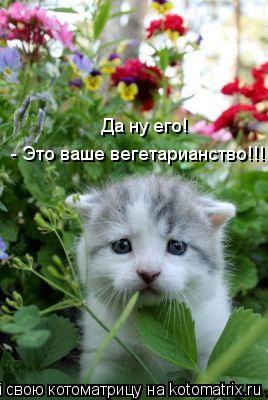 Да ну его! - Это ваше вегетарианство!!!... Котоматрица: Да ну его! - Это ваше вегетарианство!!!