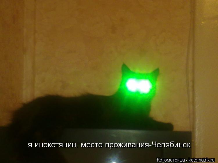 Котоматрица: я инокотянин. место проживания-Челябинск